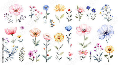 Colorful spring flowers vector illustration with tulip and butterfly floral design on a white background