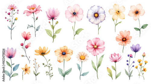 Spring flower background of pink, purple, and yellow blossoms creates a beautiful macro nature design