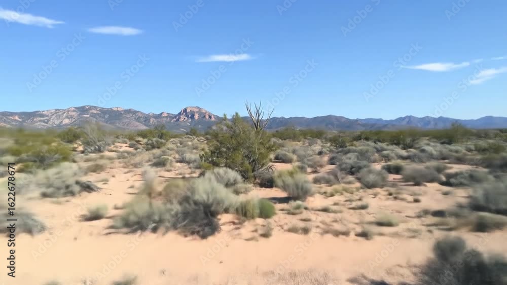 Desert landscape view Desert landscape view