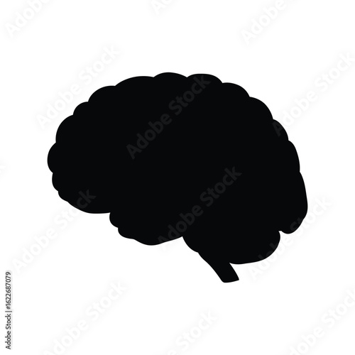 Anatomical human brain silhouette, symbol of mind, intelligence, and cognitive function