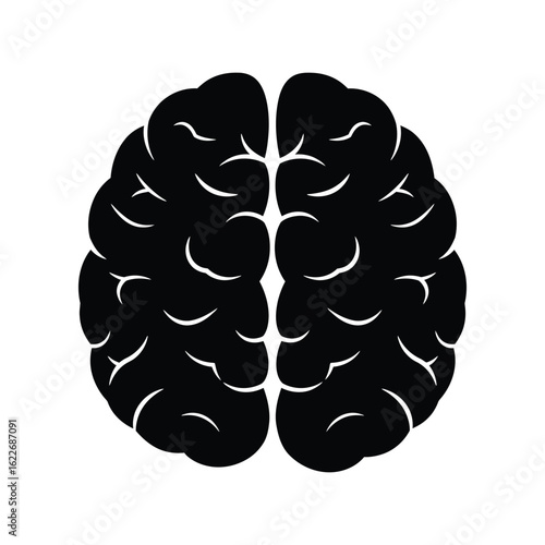 Anatomical human brain silhouette, symbol of mind, intelligence, and cognitive function