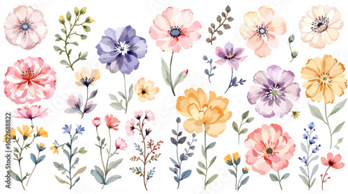 Colorful spring flowers, Set of watercolor flowers, Clipart watercolor flowers	