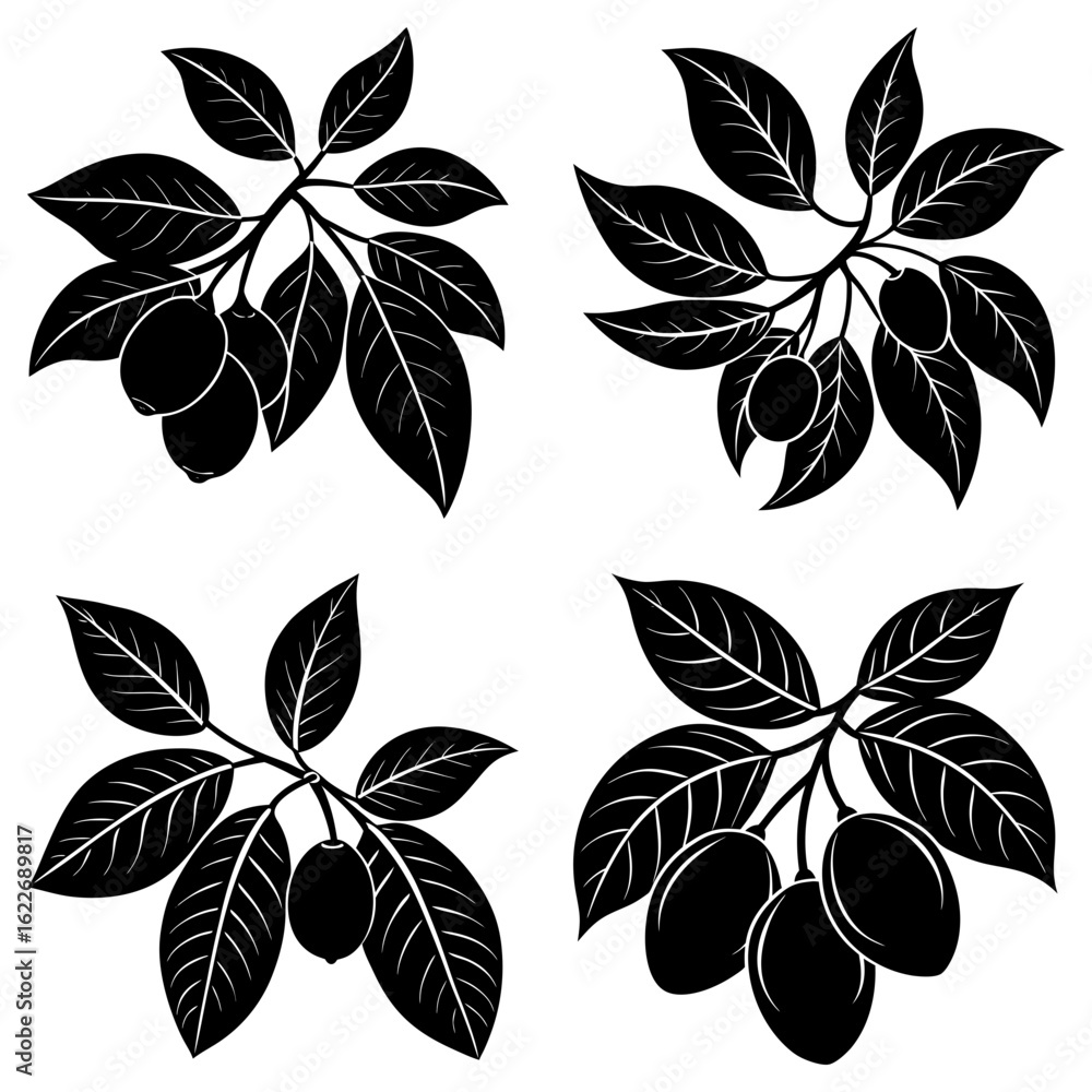 Obraz premium Four stylized black and white branches with leaves and fruits in a vector illustration format image