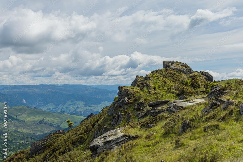 Fototapeta premium ニュージーランド ホークス・ベイのトゥティラにあるベル・ロック・ループ・トラックから見える風景