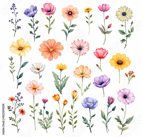 Wallpaper Mural Set of watercolor illustrations of spring flowers. Hand painted. Elements isolated on white background for your design. Torontodigital.ca