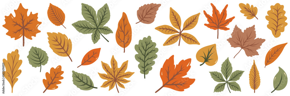 Obraz premium Set of autumn leaves and branches from different trees: maple, oak, aspen, chestnut. Simple flat falling yellow, green, brown, orange autumn leaves. Vector illustration on white background.