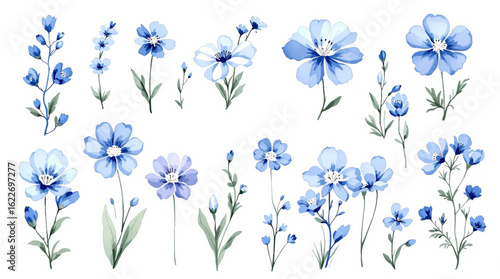 Set of flowers vector, bouquet of flowers, Set of watercolor wild flowers, set of flowers clipart
