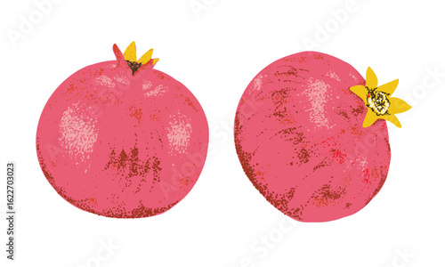 Summer food poster design. Pomegranate fruit artwork. Fresh pomegranate fruit print.
