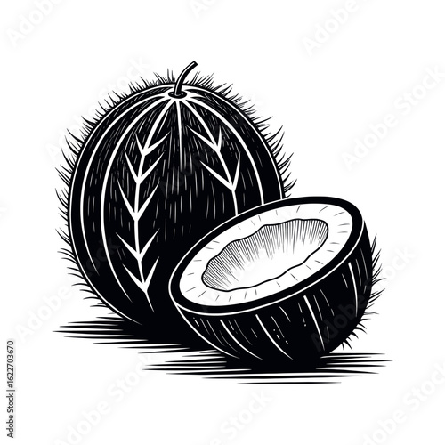 Hairy coconut isolated on white background