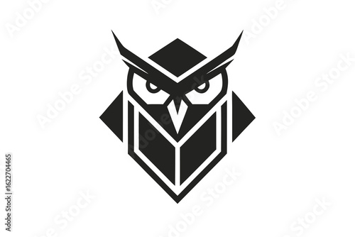 Geometric Owl Logo Design in Black and White for Branding and Identity