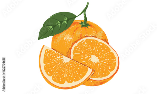 Fresh orange fruit print. Nature fruit club print design. Organic food artwork for for t shirt and poster. Slice orange.