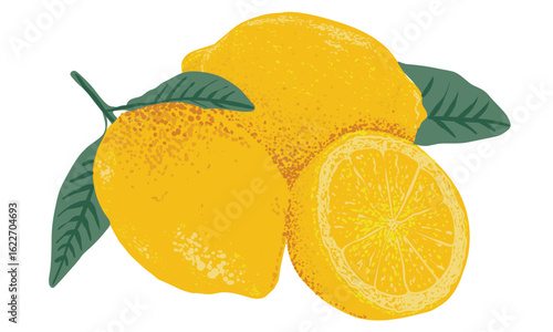Lemon fruit artwork. Fresh lemon fruit print. Lemonade art. Nature fruit club print design. Organic food artwork for for t-shirt. Fruit vintage t-shirt design. Squeezed art.