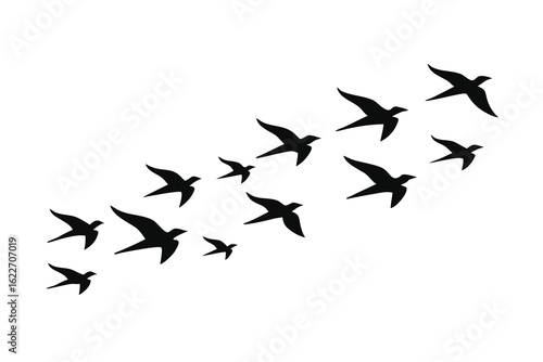 Silhouette of Birds Flying in Formation Against White Background Minimalist Illustration