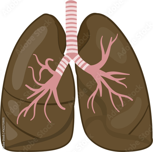 smoker lung