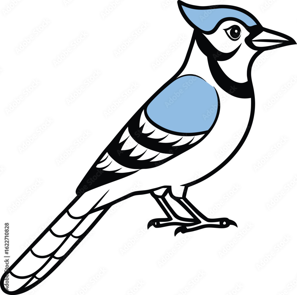 Obraz premium Blue Jay Bird Line Art Isolated on White Background animal wildlife