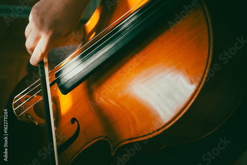 Cuadro en lienzo A cellist practices playing