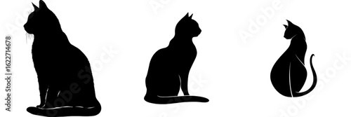 Silhouette of a seated black cat, isolated and viewed from behind
