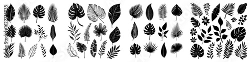 Modern tropical leaves set, featuring black palm leaf outline and flat silhouettes isolated on a white background, with editable stroke, for a nature exotic illustration