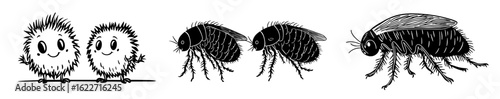 Modern illustration of a fat aphid in side view, depicted as a voracious insect and parasite, showcasing its role as an agricultural pest and plant louse, created with black ink contour lines in a