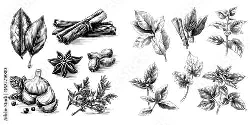 A modern set of flavors is characterized by the use of various spices, cooking herbs, and seasonings like bay leaves, peppermint, sage, cinnamon, ginger, black pepper, cardamon, cloves, basil,