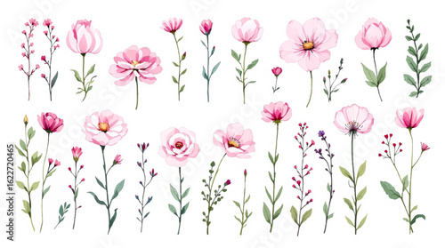 Wallpaper Mural Pink tulips on white background Torontodigital.ca