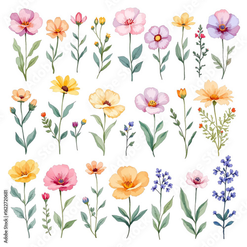 Wallpaper Mural Set watercolor flowers and butterflies, seamless pattern with flowers Torontodigital.ca