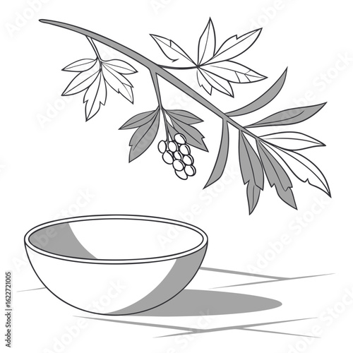 Stylized illustration of a branch with berries and leaves above a simple bowl casting a shadow