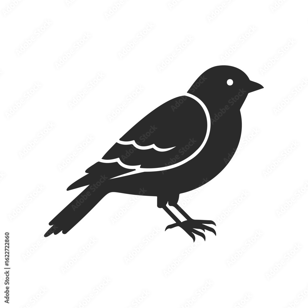 Fototapeta premium Silhouette of a sparrow bird on a white background