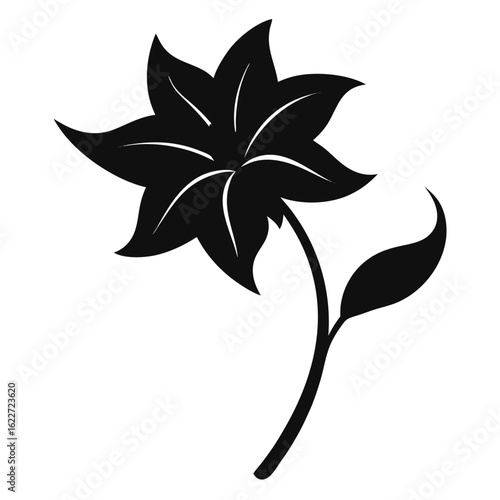 black and white flower