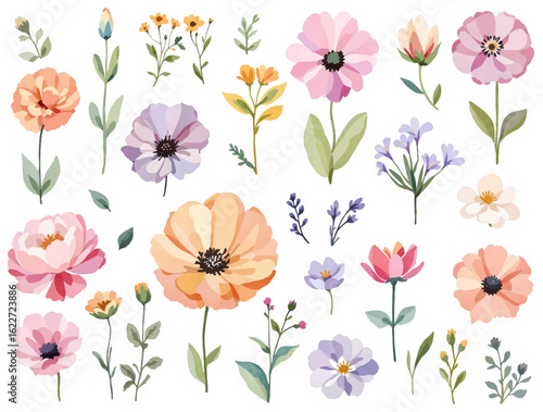 Wallpaper Mural Set of watercolor flowers, seamless background with flowers Torontodigital.ca