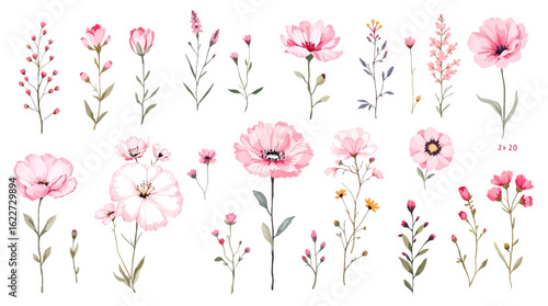 Pink tulips on white background, Bouquet of flowers, Set of watercolor wild flowers, Set of flowers clipart	