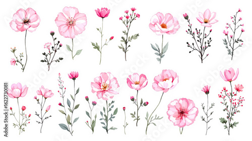 Pink tulips on white background, Bouquet of flowers, Set of watercolor wild flowers, Set of flowers clipart	