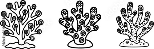 Fossil coral branching colony outline vector