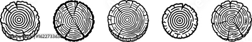 Petrified wood cross section rings outline vector