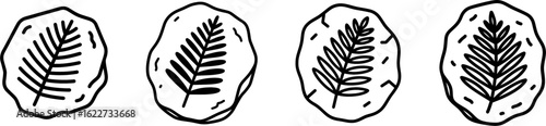 Fern fossil leaf imprint outline vector