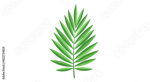 Palm Leaf Vector – Tropical Green Frond Illustration
