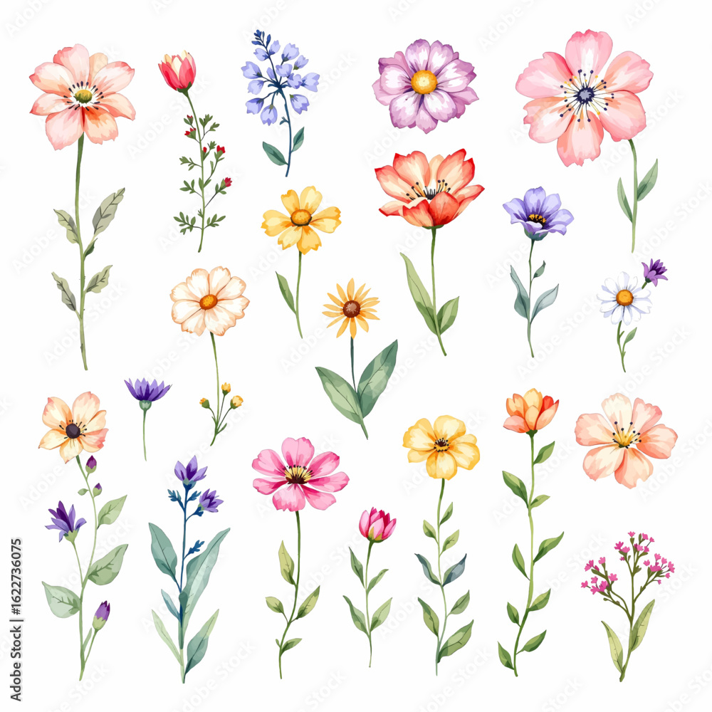 Obraz premium Set of watercolor flowers