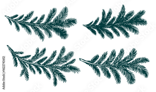 Christmas green tree branch set, hand drawn	
