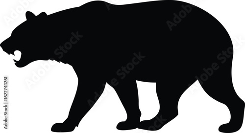 Solid Black Background color dark