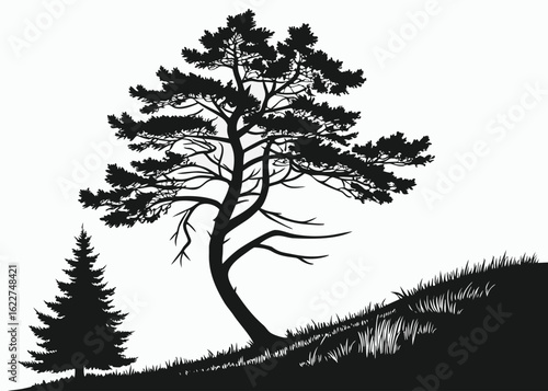 Wallpaper Mural Silhouette of Pine Trees and Grassy Hillside in Black and White fir tree nature Torontodigital.ca