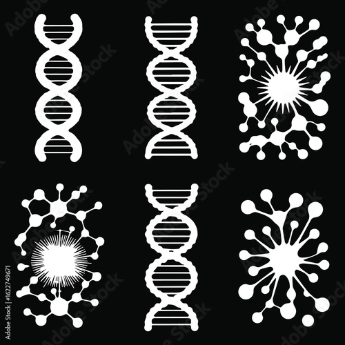 DNA molecules isolated silhouettes. Vector twisted spiral or helical structure of chromosome cells