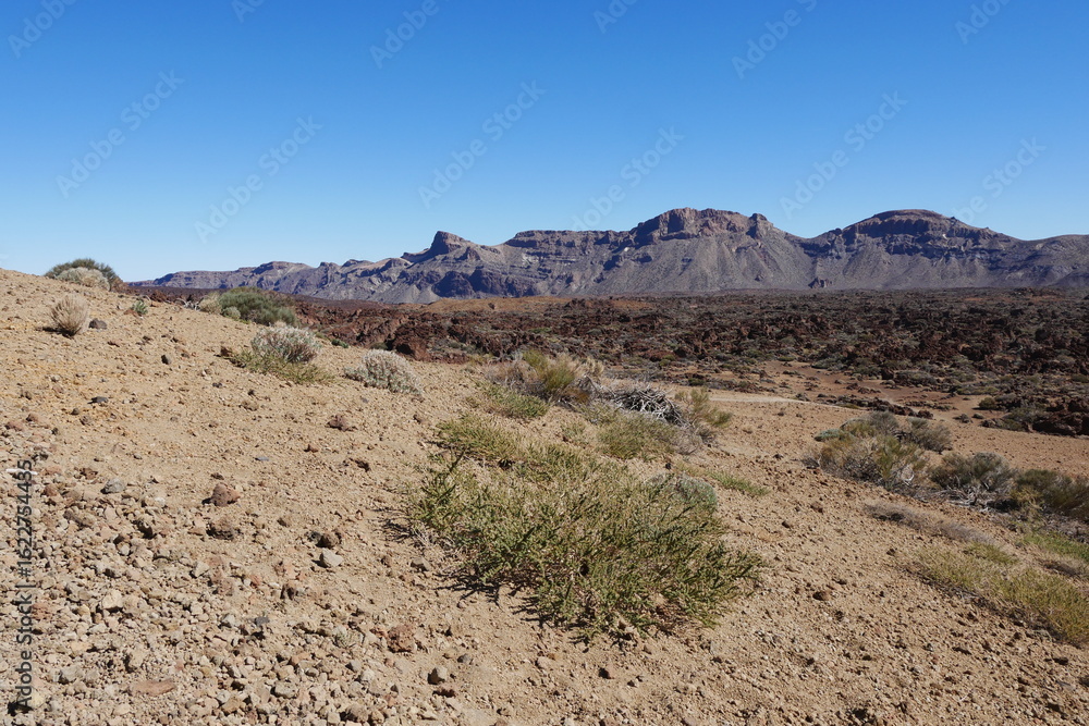 Halbwüste und Berge im Las Cañadas auf Teneriffa Kanarische Inseln Halbwüste und Berge im Las Cañadas auf Teneriffa Kanarische Inseln