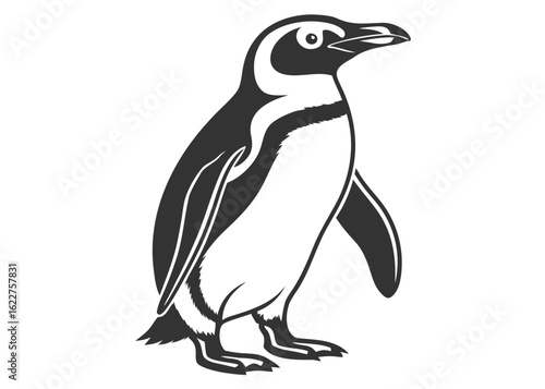 Black and white vector graphic of a penguin standing on a white background bird animal