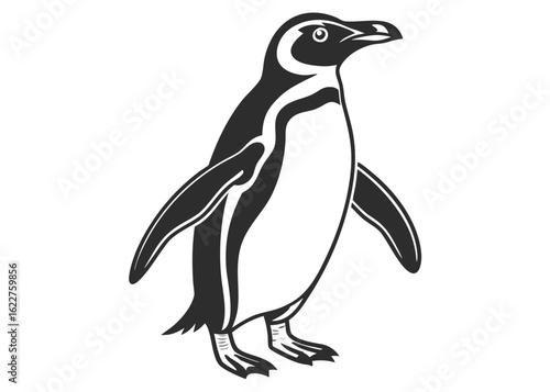 Graphic Silhouette of a Magellanic Penguin with Detailed Markings on a White Background bird animal