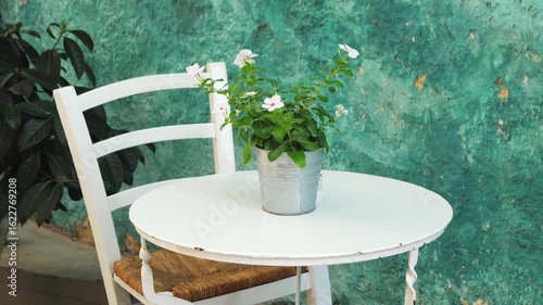 Wallpaper Mural White round table and chair back placed in front of a green textured wall in a Greek island café. A blooming plant with white petals and pink center sits in a gray metal pot. No people Torontodigital.ca