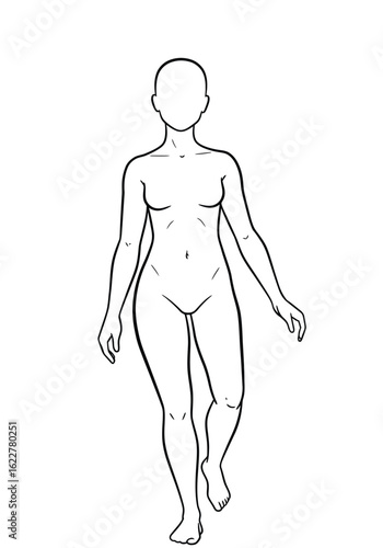 Body drawing. It is a black and white outline of a female body or human figure, serving as a template for anatomy or fashion design. Vector sketch line art draw.