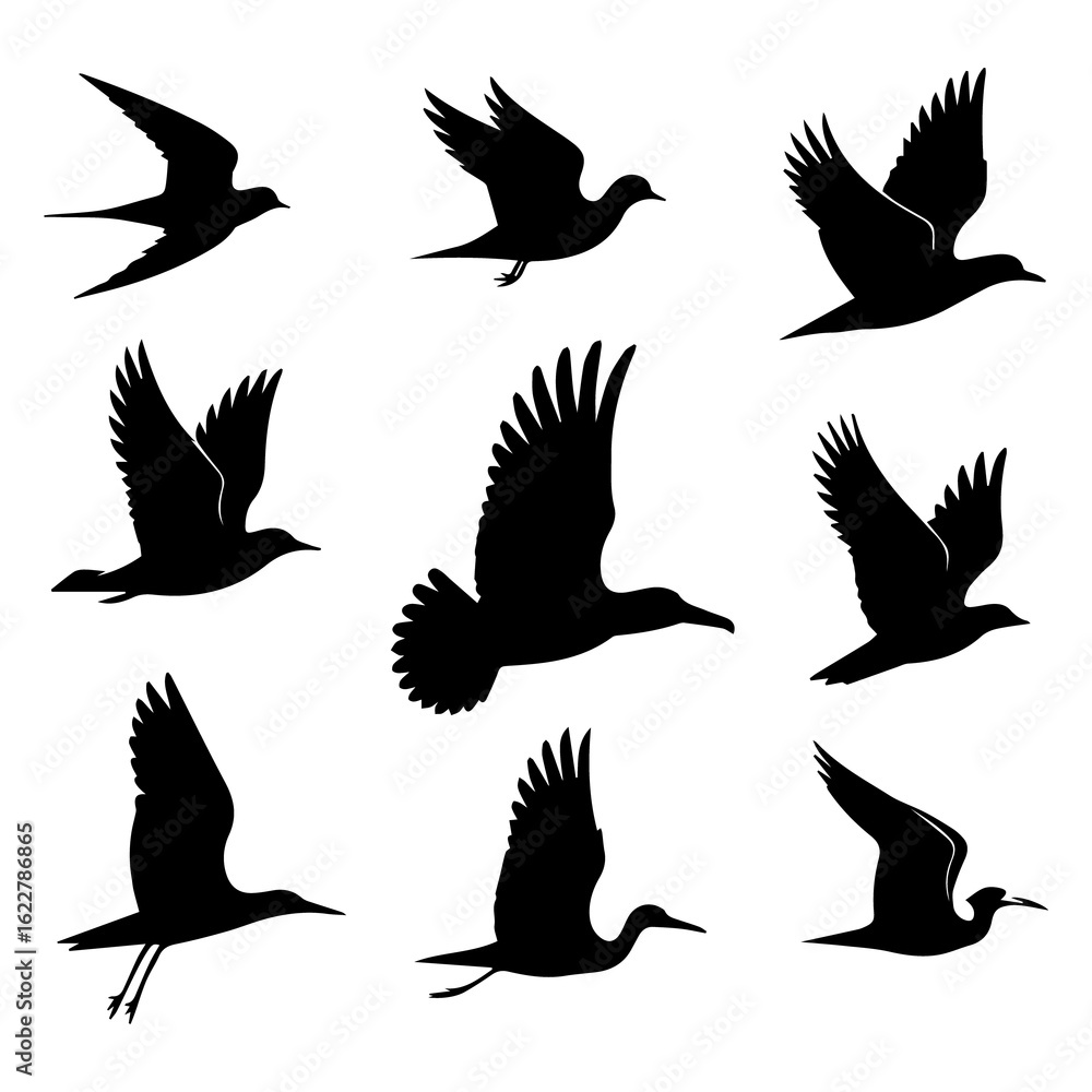 Fototapeta premium Collection of nine black silhouette illustrations of various birds in flight against a white background showcasing different wing positions and flight styles