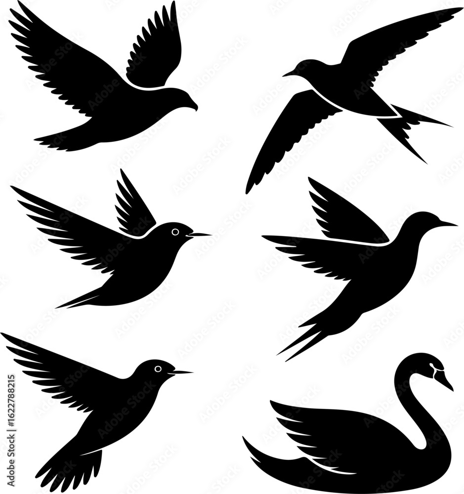 Fototapeta premium 6 unique black silhouette vector illustrations of birds in flight 