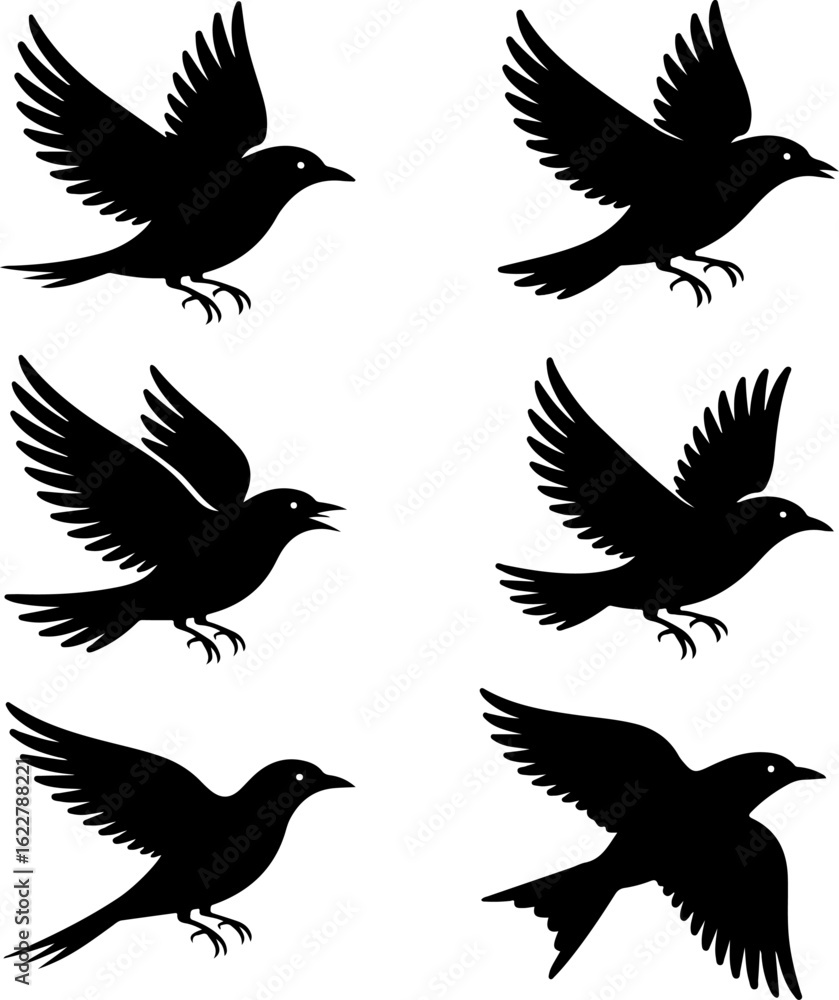 Obraz premium 6 unique black silhouette vector illustrations of birds in flight 