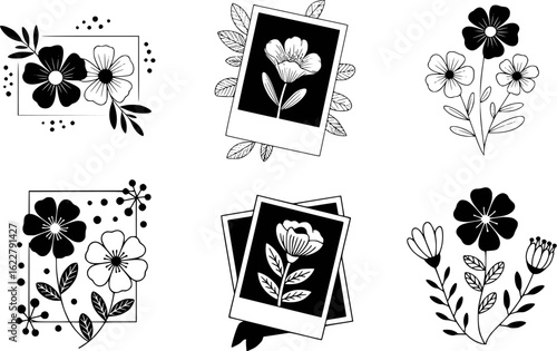 Black and white floral illustrations with photographic elements flowers leaves